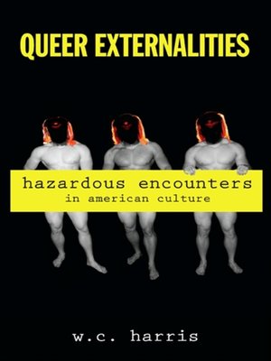 cover image of Queer Externalities